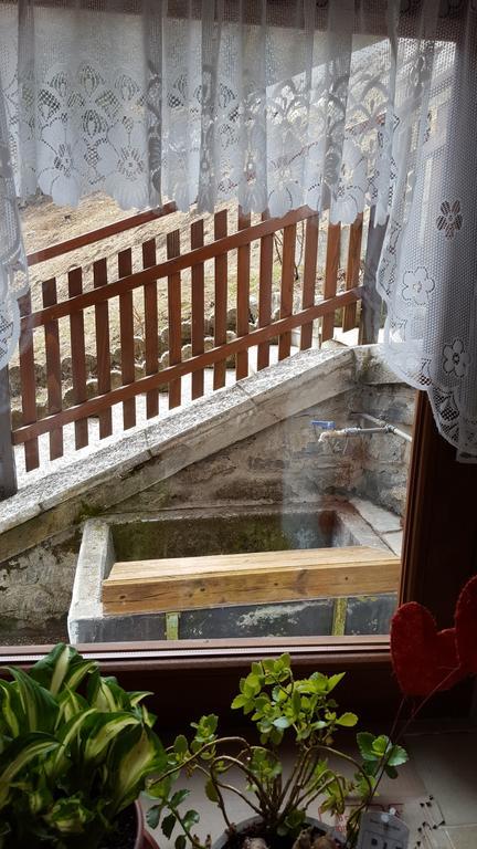 Ospitalita Diffusa Laste Dolomites - Cesa Murer Pallua エクステリア 写真